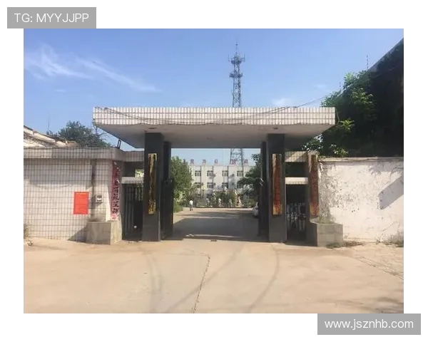 篮球激荡青春力量探寻团队协作与竞技精神魅力之旅全景展现风采录