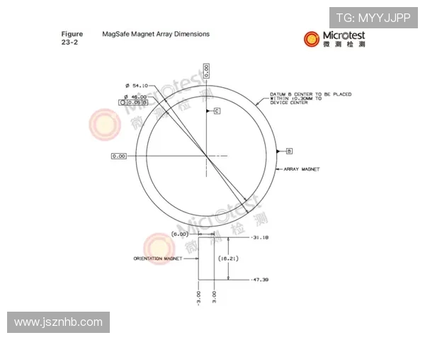 独家解析：北京排球队在比赛中速度表现的全面对比与分析