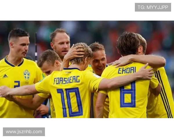 2018年欧洲杯瑞典与丹麦精彩对决回顾与分析